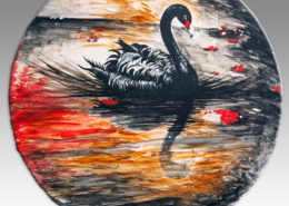 Cigno nero che nuota in acque dai riflessi rossi e dorati.