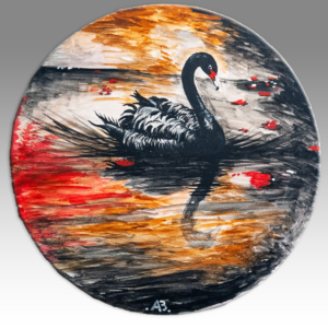 Rinascita Cigno nero che nuota in acque dai riflessi rossi e dorati.