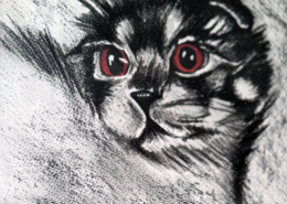 Disegno a carboncino: gatto con grandi occhi rossi.