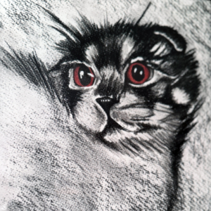 Disegno a carboncino: gatto con grandi occhi rossi.