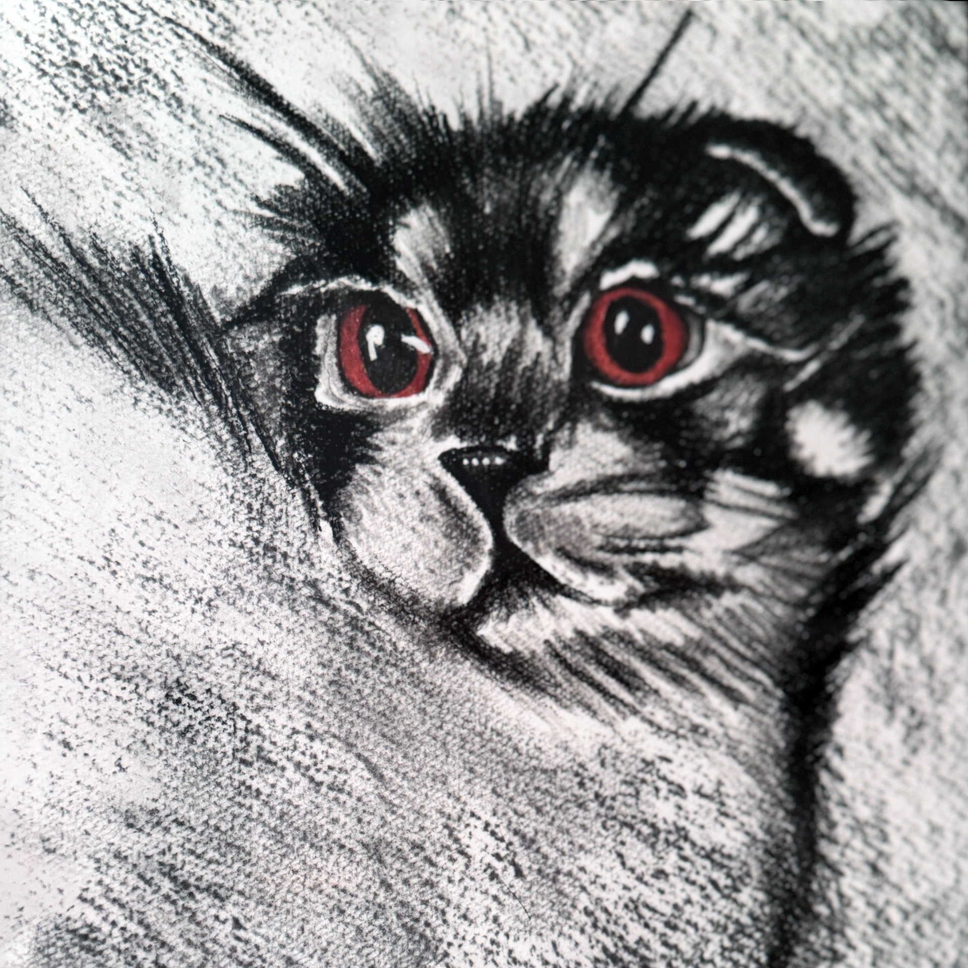 Disegno a carboncino: gatto con grandi occhi rossi.