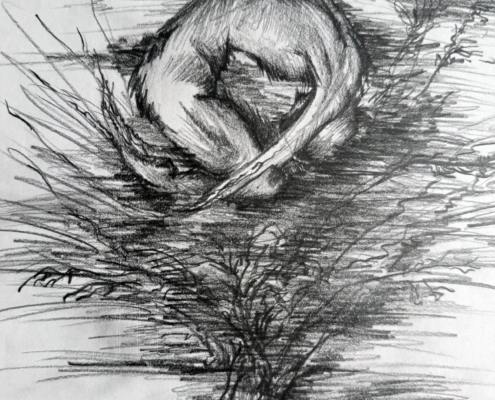 Una Nascita: emersione dai rovi Suggestivo disegno a matita in bianco e nero che ritrae un essere umano in un nido di rami.