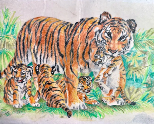 Echi di Mompracem: La Tigre della Malesia e i suoi Cuccioli Disegno rappresentante Tigre con i suoi cuccioli.