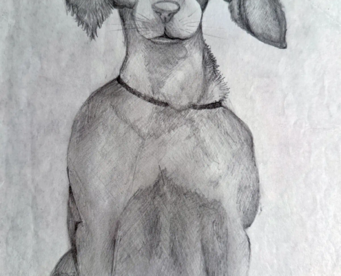 Fedeltà Silenziosa Ritratto di Cane a Matita seduto in posa frontale.